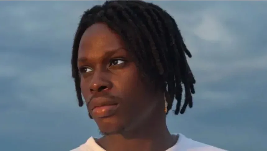 fireboy dml networth